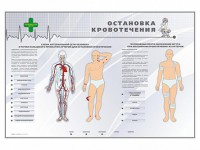 Электрифицированный стенд "Остановка кровотечения" - fgospostavki.ru - Калуга