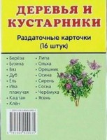 Раздаточные карточки "Деревья и кустарники" - fgospostavki.ru - Калуга
