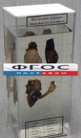 Влажный препарат "Внутреннее строение брюхоногого моллюска" - fgospostavki.ru - Калуга