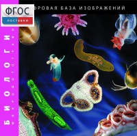 Биология. Микрофотографии. (Цифровая база изображений) - fgospostavki.ru - Калуга