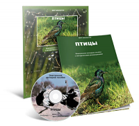 Электронное наглядное пособие «Птицы» - fgospostavki.ru - Калуга