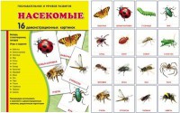 Демонстрационные карточки "Насекомые" - fgospostavki.ru - Калуга