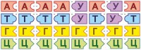 Модель-аппликация Удвоение ДНК и транскрипция РНК - fgospostavki.ru - Калуга