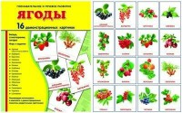 Демонстрационные карточки "Ягоды" - fgospostavki.ru - Калуга