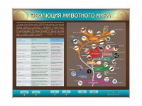 Интерактивный электрифицированный стенд "Эволюция животного мира" - fgospostavki.ru - Калуга