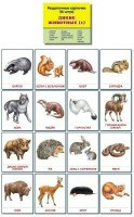 Раздаточные карточки "Дикие животные (1)" - fgospostavki.ru - Калуга