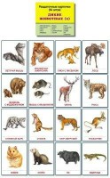 Раздаточные карточки "Дикие животные (2)" - fgospostavki.ru - Калуга