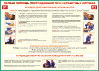 Таблица "Порядок действий при внезапной смерти" (100х140 сантиметров, винил) - fgospostavki.ru - Калуга