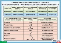 Таблица. Сравнение понятий изомер и гомолог. Функциональные группы классов органических веществ. - fgospostavki.ru - Калуга