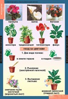 Комплект таблиц. Окружающий мир 1 класс. - fgospostavki.ru - Калуга