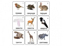 Набор магнитных карточек по музыке "Животные" (9 штук) - fgospostavki.ru - Калуга