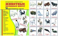 Демонстрационные карточки "Животные холодных широт" - fgospostavki.ru - Калуга