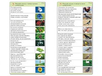 Комплект карточек (10) "Обучающий калейдоскоп. Природа" - fgospostavki.ru - Калуга