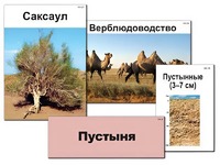 Модель-аппликация "Природные зоны России" (ламинированная) - fgospostavki.ru - Калуга