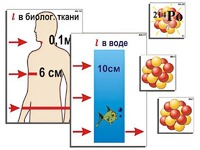 Модель-аппликация "Явление радиоактивности" (ламинированная) - fgospostavki.ru - Калуга