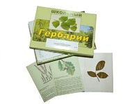 Гербарий "Дикорастущие растения" (30 видов, с иллюстрациями) - fgospostavki.ru - Калуга