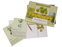 Гербарий "Сельскохозяйственные растения" (30 видов, с иллюстрациями) - fgospostavki.ru - Калуга