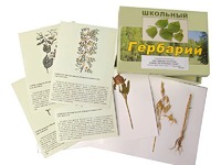 Гербарий "Систематика растений. Семейство Бобовые. Злаки" (раздаточный) - fgospostavki.ru - Калуга