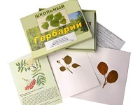 Гербарий "Систематика растений. Семейство Розоцветные" (раздаточный) - fgospostavki.ru - Калуга