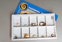 Коллекция "Раковины моллюсков" - fgospostavki.ru - Калуга
