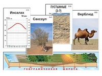 Модель-аппликация "Природные зоны" - fgospostavki.ru - Калуга