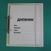 Дневник школьника (с полным набором карточек) - fgospostavki.ru - Калуга