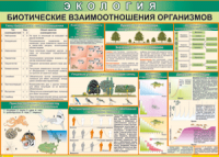 Таблица "Биотические взаимоотношения организмов" (100х140 сантиметров, винил) - fgospostavki.ru - Калуга
