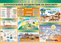 Таблица "Антропогенное воздействие на биосферу" (100х140 сантиметров, винил) - fgospostavki.ru - Калуга