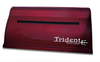 Принтер для печати рельефно-точечным шрифтом Брайля Trident - fgospostavki.ru - Калуга