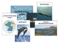 Модель-аппликация "Океаны. Знакомство" (ламинированная) - fgospostavki.ru - Калуга