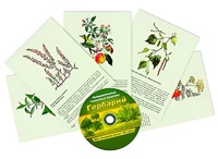 Интерактивный наглядный комплекс "Гербарий "Для начальной школы" - fgospostavki.ru - Калуга