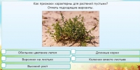 Интерактивные курсы. Окружающий мир 3 класс . Базовый. - fgospostavki.ru - Калуга