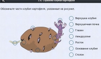 Интерактивные курсы. Биология 6 класс. Расширенный - fgospostavki.ru - Калуга