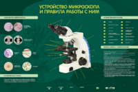 Электрифицированный стенд "Устройство микроскопа и правила работы c ним" - fgospostavki.ru - Калуга