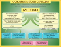Стенд "Методы селекции и биотехнологии" - fgospostavki.ru - Калуга