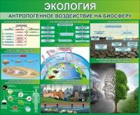Стенд "Экология. Антропогенное воздействие на биосферу" - fgospostavki.ru - Калуга