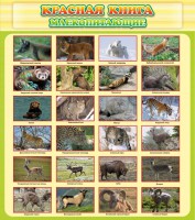Стенд "Красная книга - млекопитающие" - fgospostavki.ru - Калуга