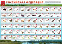 Стенд "Красная книга РФ" - fgospostavki.ru - Калуга