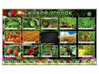 Комплект оборудования "Живой уголок" (растения) - fgospostavki.ru - Калуга