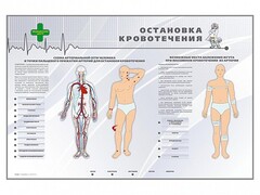Электрифицированный стенд "Остановка кровотечения" - fgospostavki.ru - Калуга