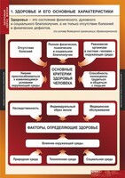 Комплект таблиц. ОБЖ. Здоровый образ жизни. - fgospostavki.ru - Калуга