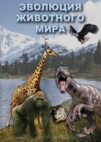 DVD "Эволюция животного мира" - fgospostavki.ru - Калуга
