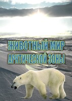 DVD "Животный мир Арктической зоны" - fgospostavki.ru - Калуга