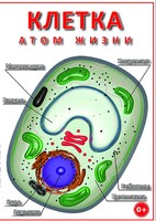 DVD "Клетка - "атом жизни" - fgospostavki.ru - Калуга