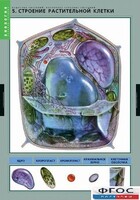 Комплект таблиц. Биология. Вещества растений. Клеточное строение. - fgospostavki.ru - Калуга