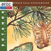 Ботаника. Микрофотографии. (Цифровая база изображений) - fgospostavki.ru - Калуга