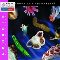 Биология. Микрофотографии. (Цифровая база изображений) - fgospostavki.ru - Калуга