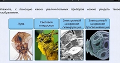 Интерактивные курсы. Биология 5 класс. Расширенный - fgospostavki.ru - Калуга