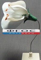 Модель "Цветок гороха" - fgospostavki.ru - Калуга
