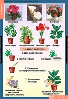 Комплект таблиц. Окружающий мир 1 класс. - fgospostavki.ru - Калуга